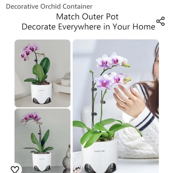 Orchid Pot - Picture 5 of 6